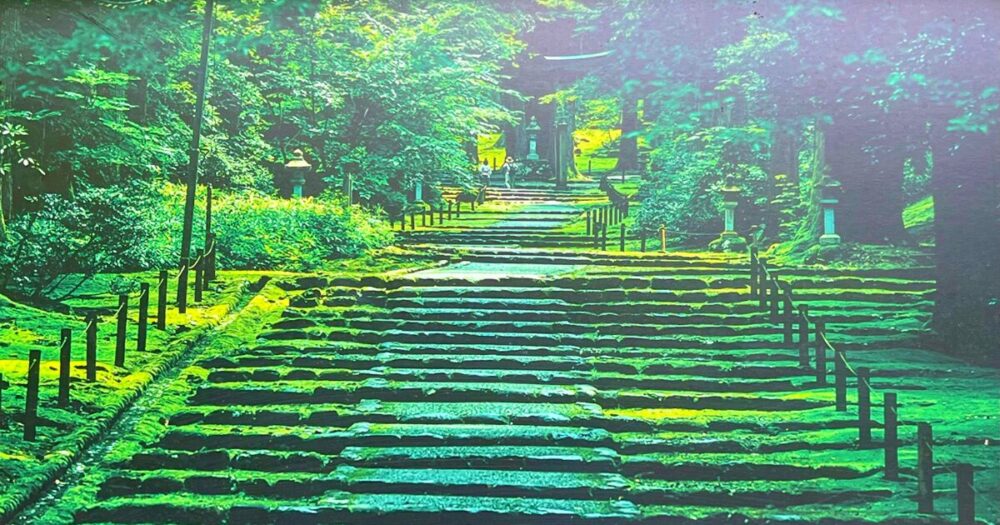 福井県平泉寺白山神社本堂へ続く苔むした美しい石畳の階段